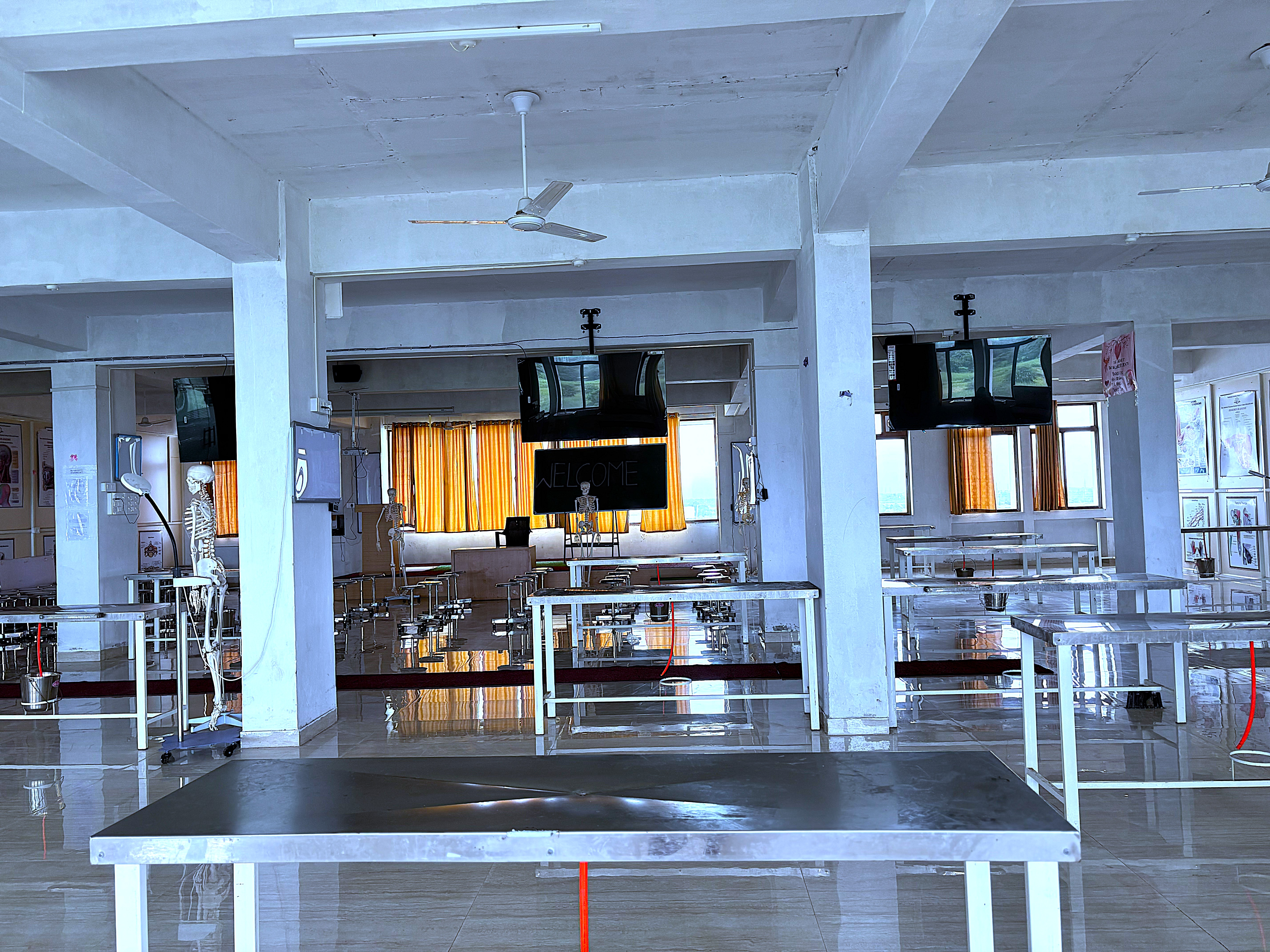 Anatomy Gallery